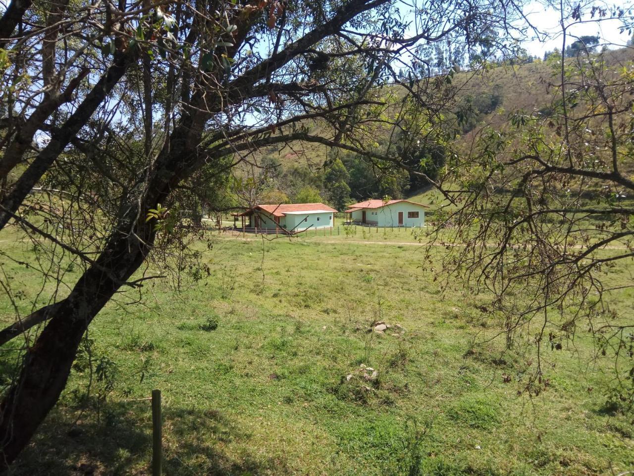 Viajantes Do Tempo 2*