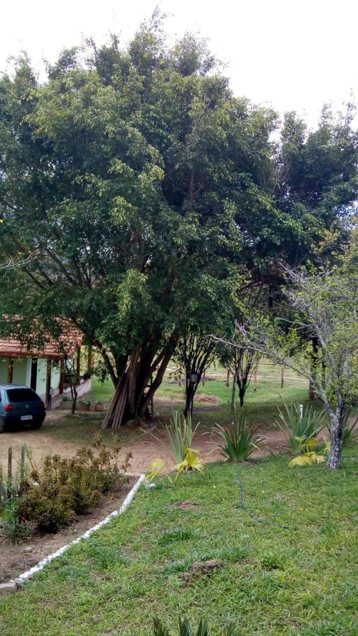 Viajantes Do Tempo Cunha